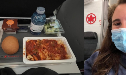 Flew Air Canada Boeing 787 in economy and won't book again; review – Business Insider