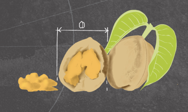 Meal frequency and portion size: What to know – Medical News Today