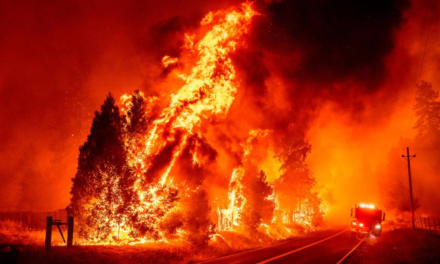 California's fast-moving Oak Fire burns 14,000 acres and forces thousands to evacuate outside Yosemite National Park – CNN