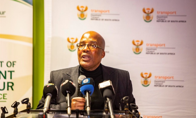 Home Affairs tightening rules around passport issuance to avoid fraud – News24