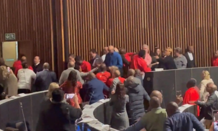 WATCH | Joburg chamber chaos! DA lays charges against EFF after council brawl – News24
