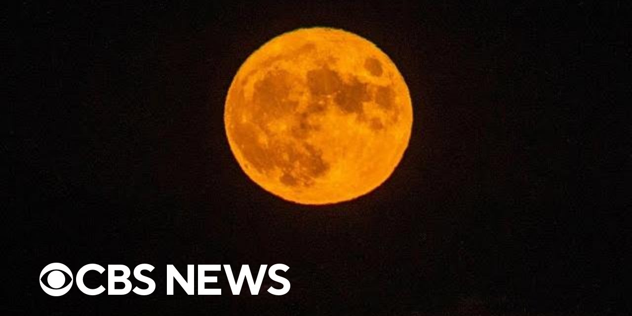"Sturgeon moon" gives spectators around the world this year's last supermoon – CBS News