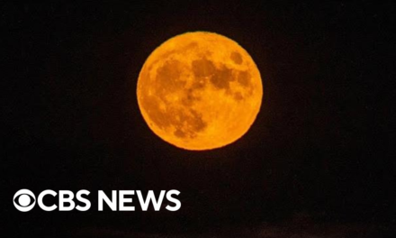 "Sturgeon moon" gives spectators around the world this year's last supermoon – CBS News