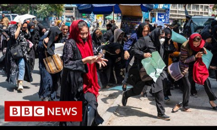 Taliban break up rare protest by Afghan women in Kabul – BBC News – BBC News