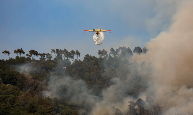 Italy heatwave peaks with 16 cities on red alert as Tuscany burns – FRANCE 24 English