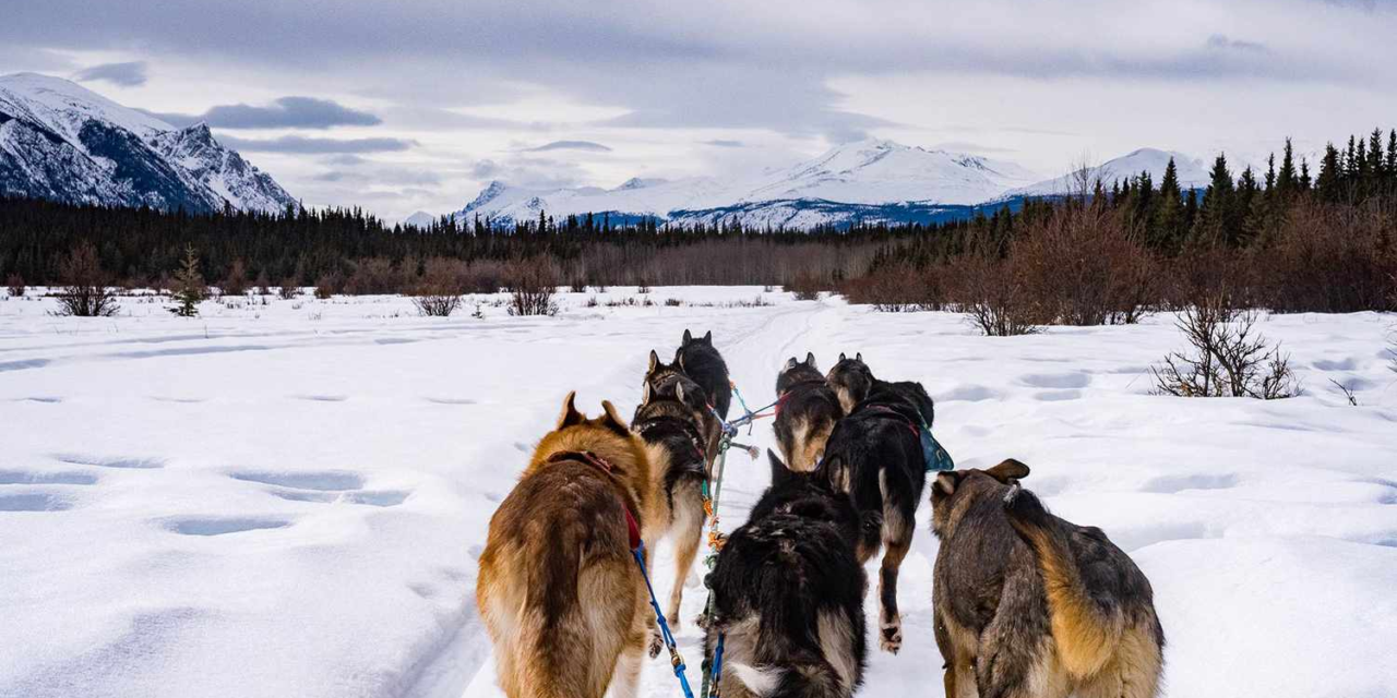 How to Plan a Winter Trip to the Yukon — Northern Lights Sightings … – Travel + Leisure