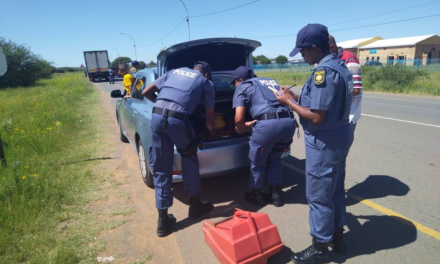 Police action yields successes – News24