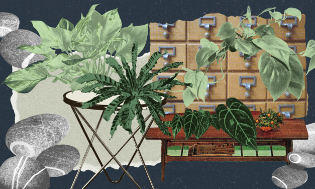 5 DIY Plant Stand Ideas That Are Actually Furniture | Architectural Digest – Architectural Digest