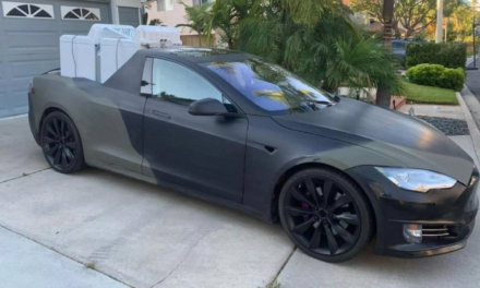 Tesla owner chops up their car, makes DIY electric ute – Stuff